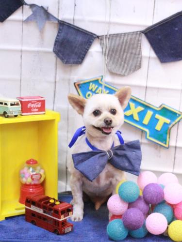 20230430ポンタくん